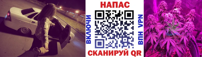 Все наркотики Шадринск A PVP COCAIN Галлюциногенные грибы Канабис ГАШ Меф