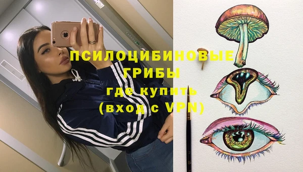 ALPHA PVP Алзамай