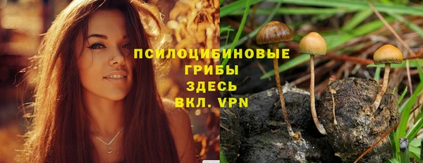 ALPHA PVP Алзамай