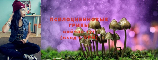 ALPHA PVP Алзамай