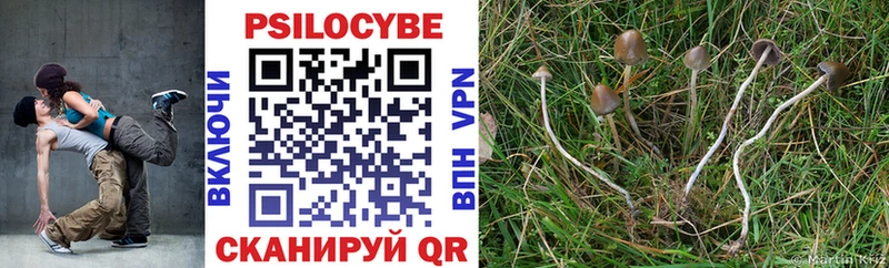 mega как войти  Шадринск  Псилоцибиновые грибы Magic Shrooms  где найти наркотики 
